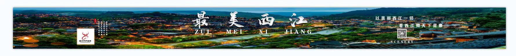 通栏图片